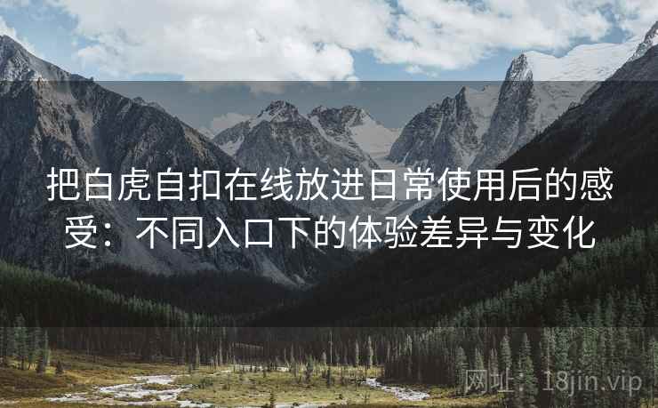 把白虎自扣在线放进日常使用后的感受：不同入口下的体验差异与变化  第1张