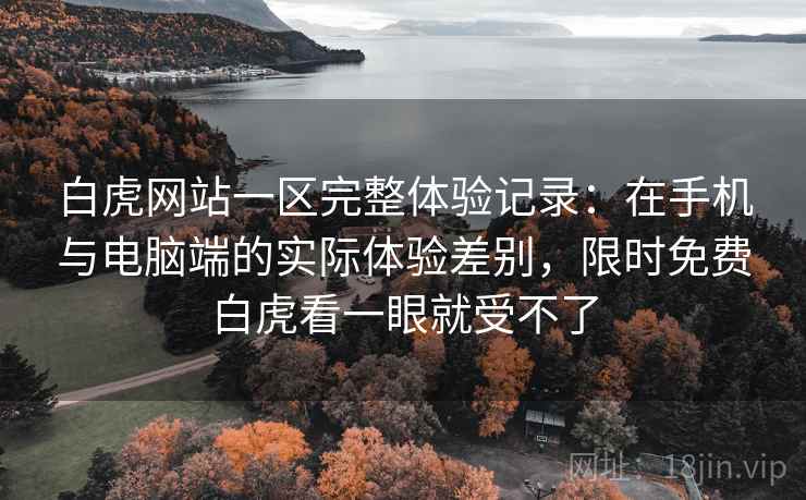 白虎网站一区完整体验记录：在手机与电脑端的实际体验差别，限时免费白虎看一眼就受不了  第1张