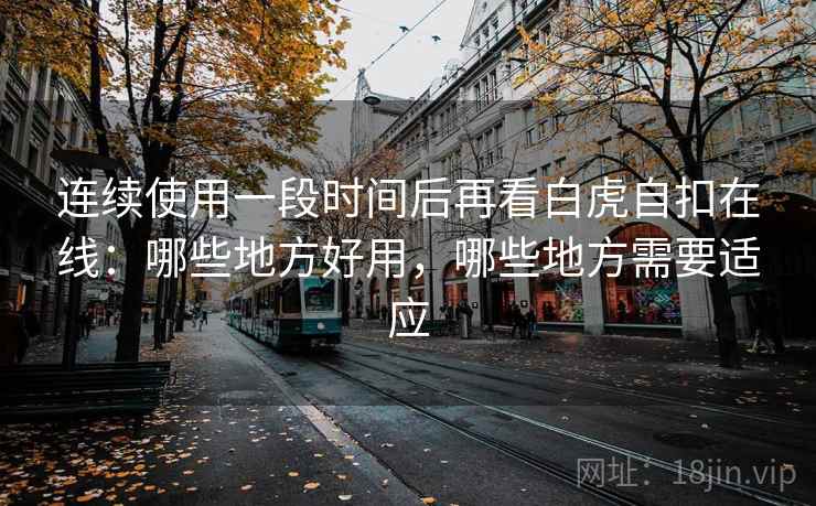 连续使用一段时间后再看白虎自扣在线：哪些地方好用，哪些地方需要适应  第1张