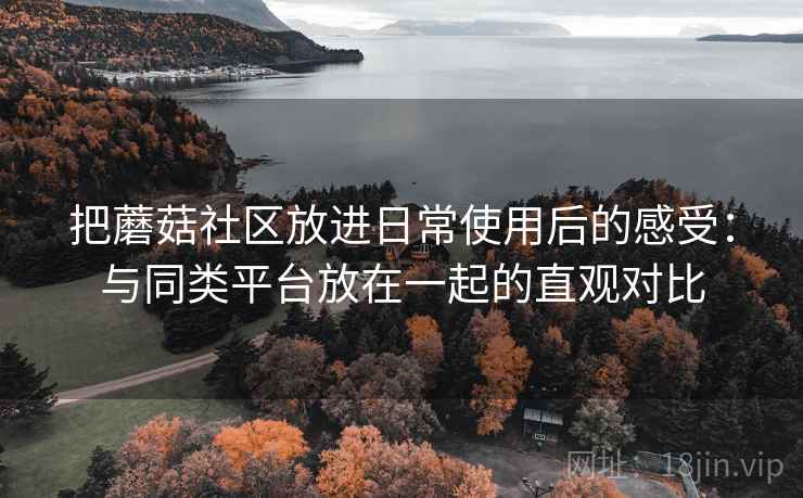 把蘑菇社区放进日常使用后的感受：与同类平台放在一起的直观对比  第1张