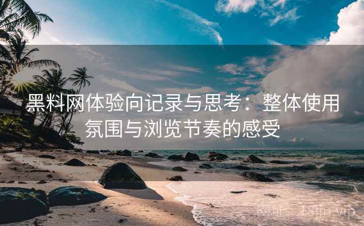 黑料网体验向记录与思考：整体使用氛围与浏览节奏的感受  第2张