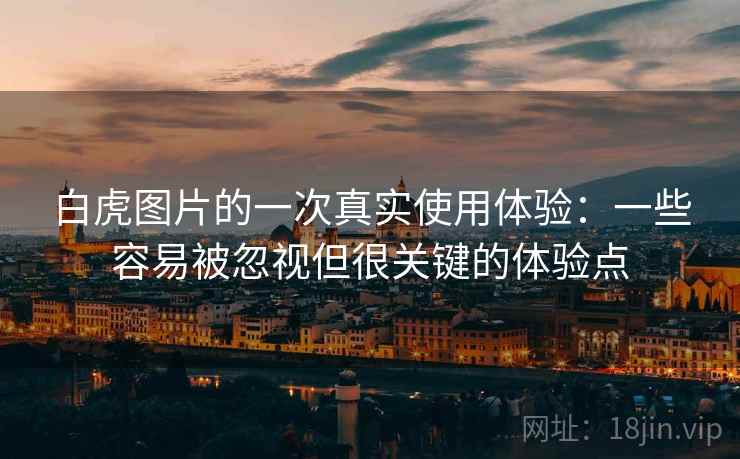 白虎图片的一次真实使用体验：一些容易被忽视但很关键的体验点  第1张