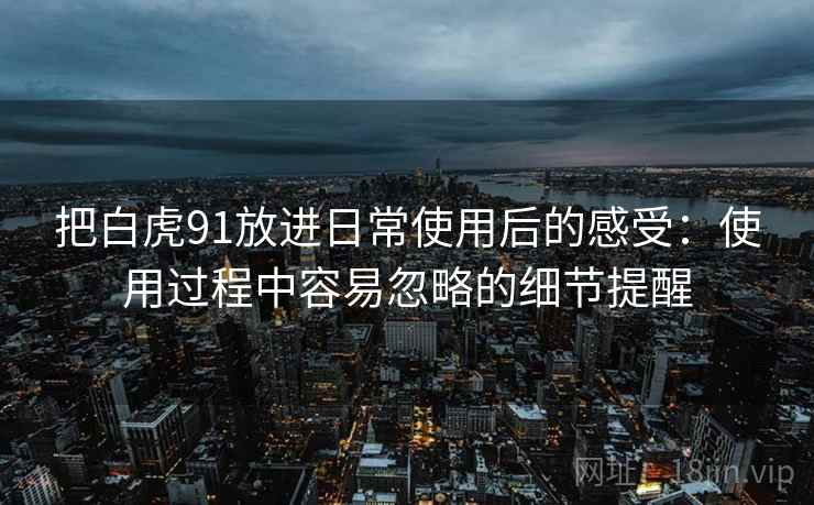把白虎91放进日常使用后的感受：使用过程中容易忽略的细节提醒  第1张
