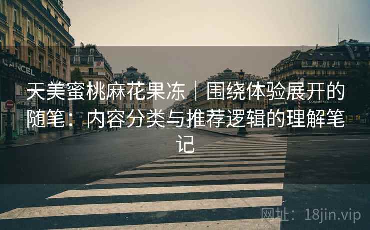 天美蜜桃麻花果冻｜围绕体验展开的随笔：内容分类与推荐逻辑的理解笔记  第1张