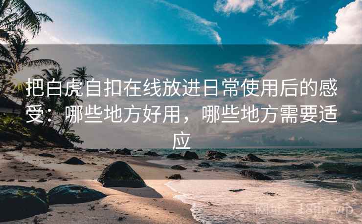 把白虎自扣在线放进日常使用后的感受：哪些地方好用，哪些地方需要适应  第1张