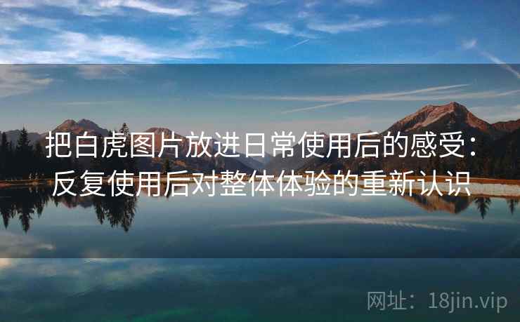 把白虎图片放进日常使用后的感受：反复使用后对整体体验的重新认识  第2张