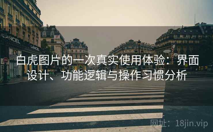 白虎图片的一次真实使用体验:界面设计、功能逻辑与操作习惯分析 第2张 白虎图片的一次真实使用体验:界面设计、功能逻辑与操作习惯分析 第2张