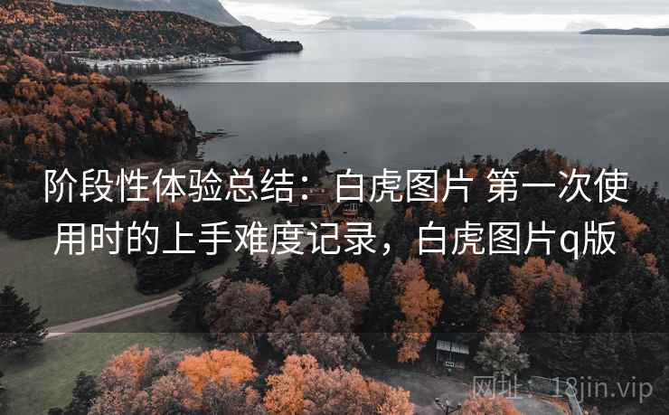 阶段性体验总结:白虎图片 第一次使用时的上手难度记录,白虎图片q版 第1张 阶段性体验总结:白虎图片 第一次使用时的上手难度记录,白虎图片q版 第1张