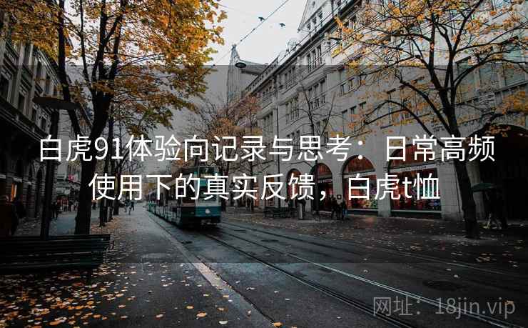 白虎91体验向记录与思考:日常高频使用下的真实反馈,白虎t恤 第2张 白虎91体验向记录与思考:日常高频使用下的真实反馈,白虎t恤 第2张