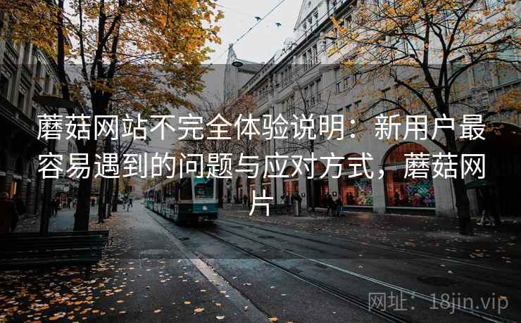 蘑菇网站不完全体验说明:新用户最容易遇到的问题与应对方式,蘑菇网片 第1张 蘑菇网站不完全体验说明:新用户最容易遇到的问题与应对方式,蘑菇网片 第1张