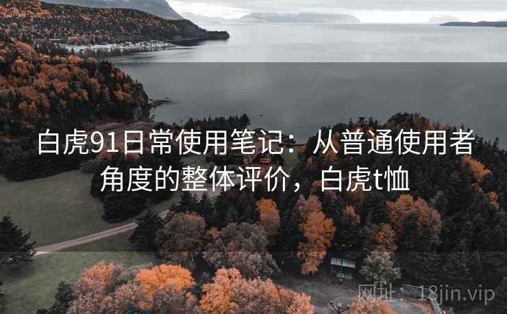 白虎91日常使用笔记:从普通使用者角度的整体评价,白虎t恤 第1张 白虎91日常使用笔记:从普通使用者角度的整体评价,白虎t恤 第1张