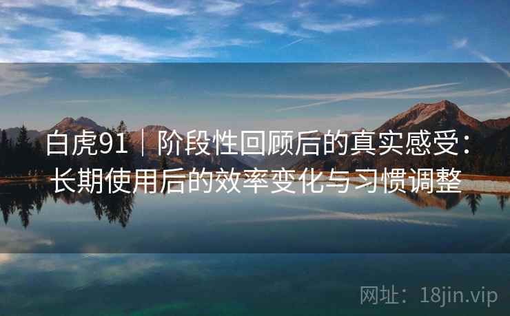 白虎91｜阶段性回顾后的真实感受：长期使用后的效率变化与习惯调整  第1张