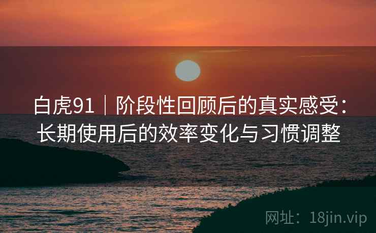 白虎91｜阶段性回顾后的真实感受：长期使用后的效率变化与习惯调整  第2张
